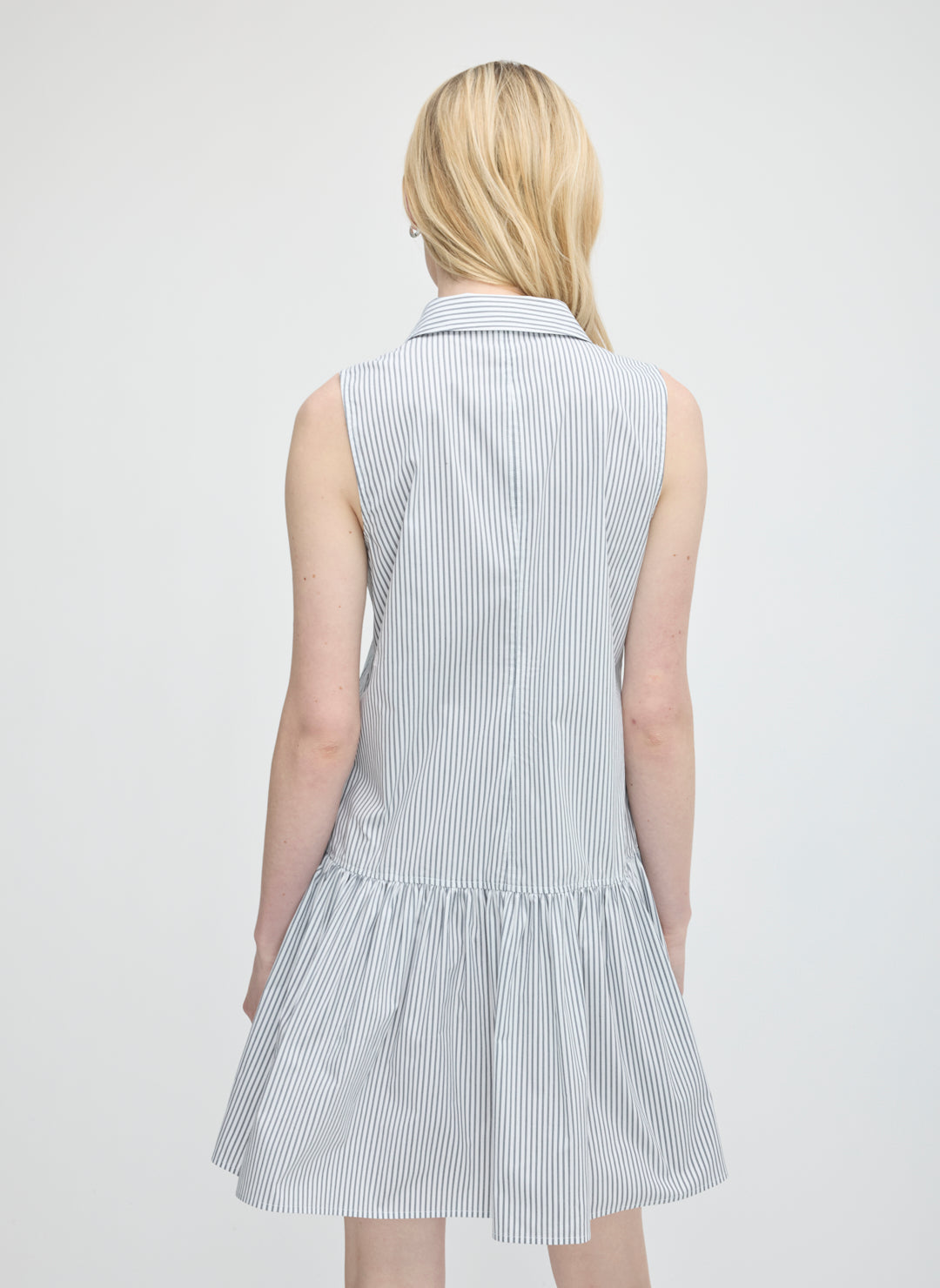 Celina Dropped Waist Dress